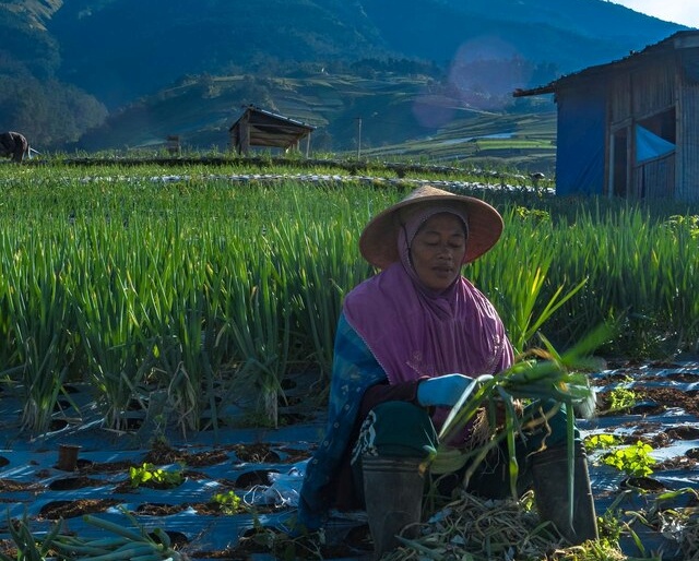 UNDANGAN NGAJI EKOFEMINIS, 23 Oktober 2021