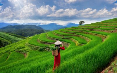 Silabus Sekolah Literasi Ekofeminis